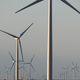 Illustration for article titled Texas Wind Energy Set a Record—But Republicans Are Still Trying to Squash It